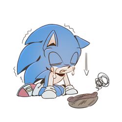 sonic the hedgehog from sonic (series)