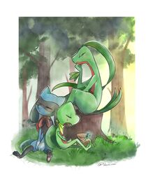 grovyle from pokemon