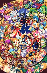 amy rose from sonic (series)