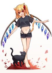 flandre scarlet from touhou