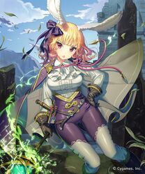 shadowverse fan art