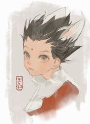 gon freecss from hunter x hunter