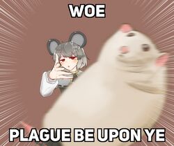 nazrin from touhou