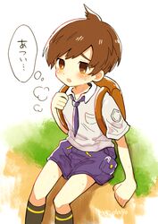 florian (pokemon) from pokemon