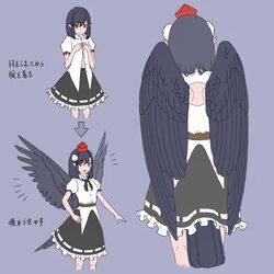 shameimaru aya from touhou