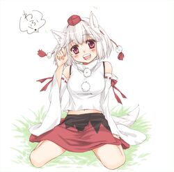 inubashiri momiji from touhou by kanda aya