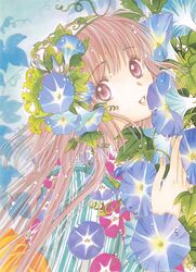 hanato kobato from kobato by clamp