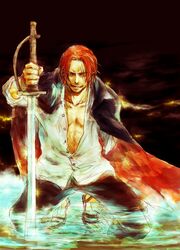 shanks from one piece