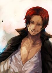 shanks from one piece