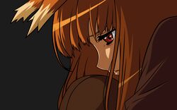 holo from spice and wolf