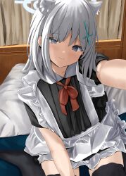 shiroko (blue archive) from blue archive by disuto