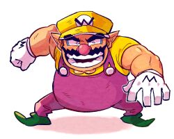 wario from nintendo by yowasabimechaoc