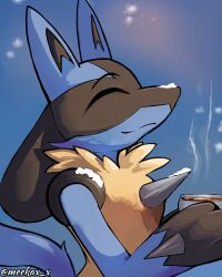 lucario from pokemon
