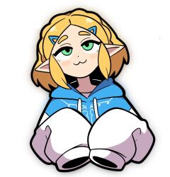princess zelda from the legend of zelda