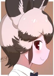 african wild dog (kemono friends) from kemono friends