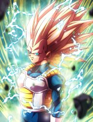 vegeta from dragon ball