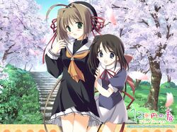 hakone from 120 yen stories