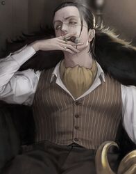 crocodile (one piece) from one piece