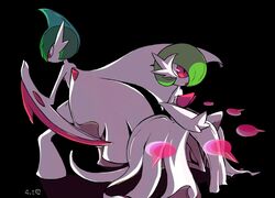 gallade from pokemon