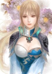 wang yuanji from shin sangoku musou by kageco