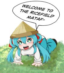 hatsune miku from vocaloid