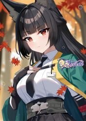 hoshimi miyabi from zenless zone zero