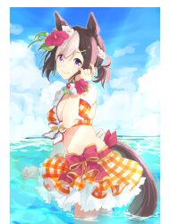 special week (umamusume) from umamusume