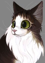 real life fan art