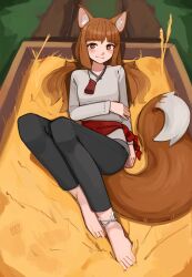 holo from spice and wolf by kart prowler