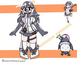 african penguin (kemono friends) from kemono friends