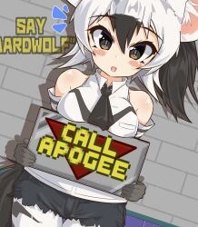 aardwolf (kemono friends) from kemono friends