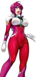 lunamaria hawke from gundam by itachou
