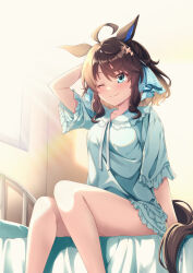 daring tact (umamusume) from umamusume by shinohara shinome