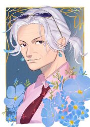 tsuru (one piece) from one piece