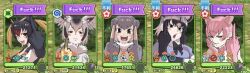 common raccoon (kemono friends) from kemono friends