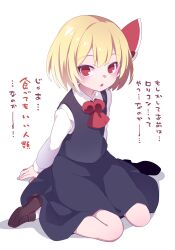 rumia from touhou by hammer (sunset beach)