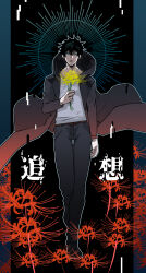 sung jin-woo from solo leveling