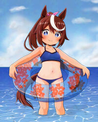 tokai teio (umamusume) from umamusume