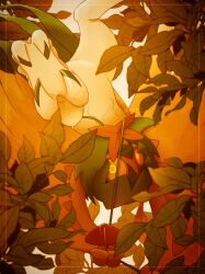 decidueye from pokemon