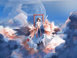 shameimaru aya from touhou