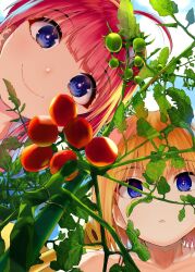 Booru post from safebooru.org