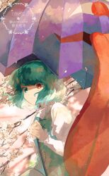 tatara kogasa from touhou