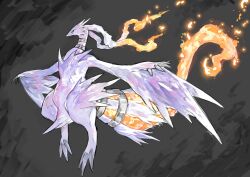 reshiram from pokemon