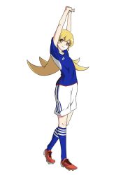 oshino shinobu from monogatari (series)