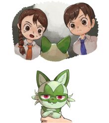 florian (pokemon) from pokemon