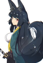 hoshimi miyabi from zenless zone zero by hinghoi