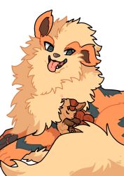 arcanine from pokemon