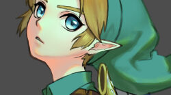 link from the legend of zelda