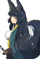 hoshimi miyabi from zenless zone zero by hinghoi