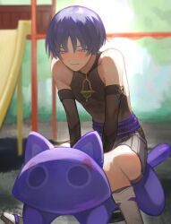 scaramouche (cat) (genshin impact) from genshin impact